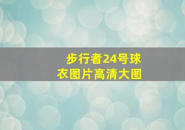 步行者24号球衣图片高清大图